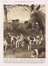 RIDGEWELL NR Dunmow Meet of