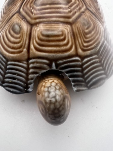 Wade swimming turtle - swimming, trinket