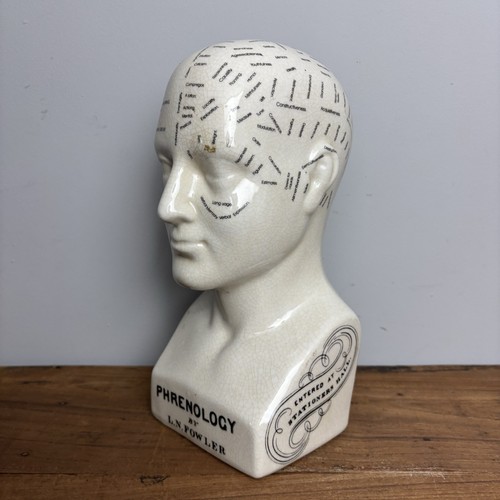 Ceramic phrenology head bust - ceramic,