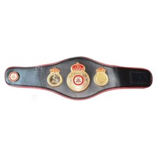 WBA World Boxing Association Title Belt For Kids Premium Leather Wrestling Belts