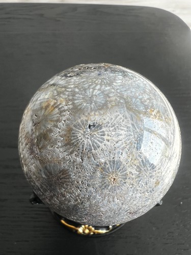 Fossilized coral sphere - coral,