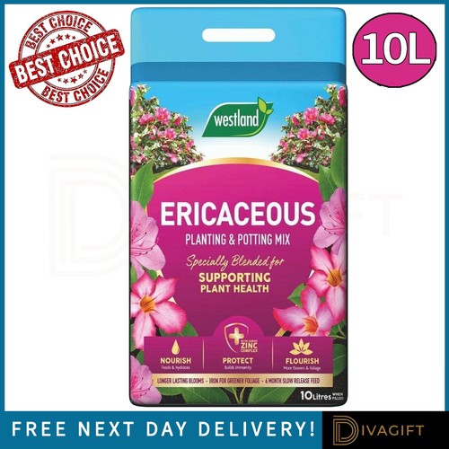 Westland ericaceous compost - westland,