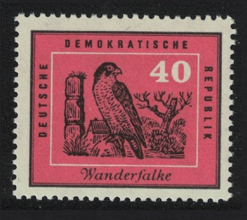 Peregrine falcon bird gdr 1959 - peregrine,