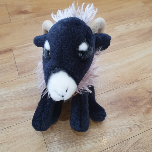 Faithful friends goat sheep - goat,