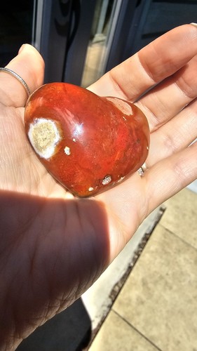 Petrified wood heart - petrified, palmstone