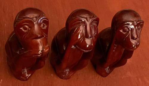 Three wise monkeys see - wise,