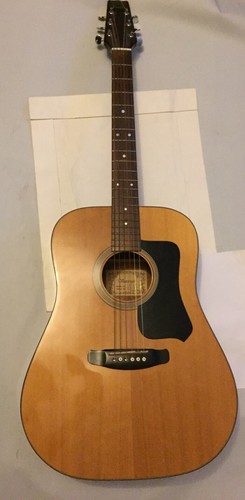 Vantage acoustic vw80s guitar - vantage,