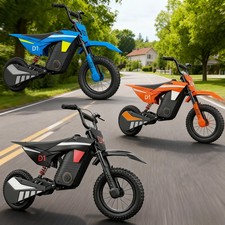 Kiddowe D1 12 Inch Kids