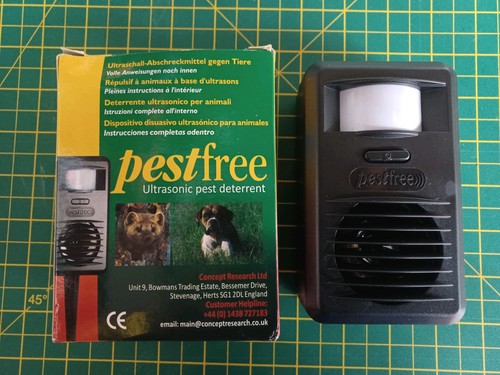 Cat dog fox - cat, pine