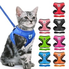 Adjustable Cat Harness and