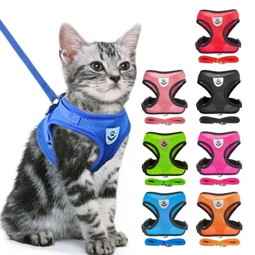 Adjustable cat harness and - cat,