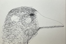 DUCK Ink Pen Drawing 1985