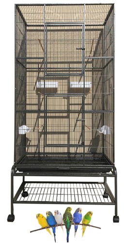 Large flight bird - x-large,