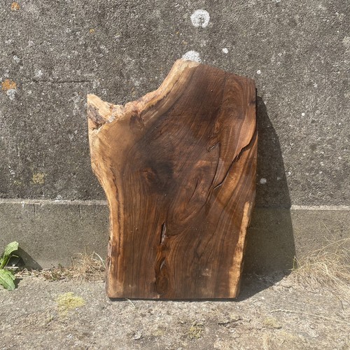 English walnut slab live edge - english,