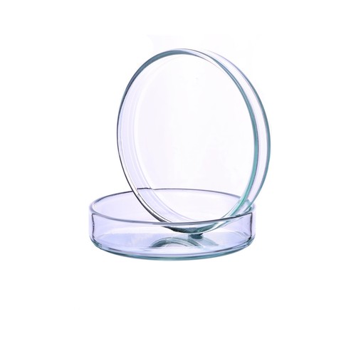 Glass petri dish 100mm - dish, 15mm