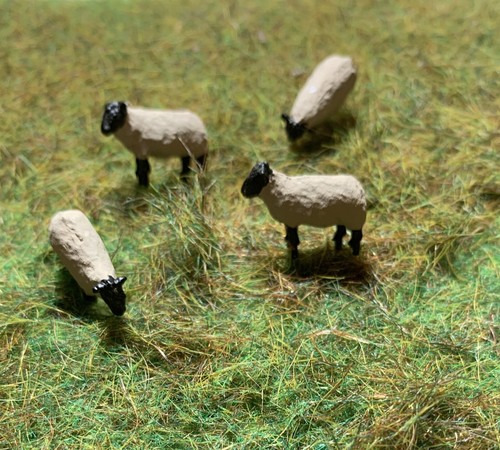 Sheep scale 00 x 4 - 1/76,