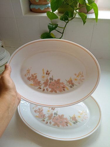 Pair vintage hedge rose - vintage, rose"