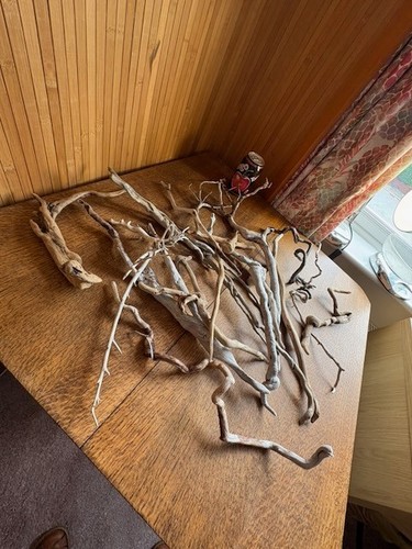 Driftwood xover20 delicate - driftwood,