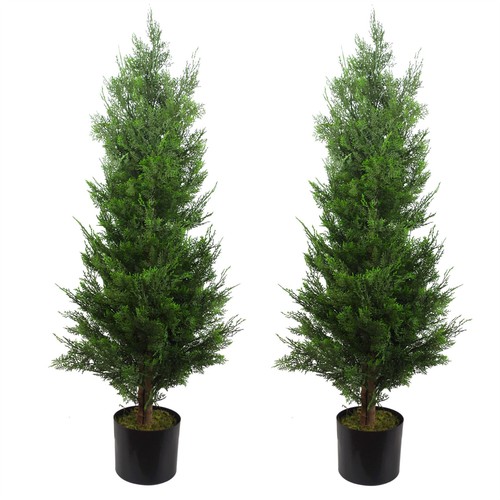 Artificial pair cypress - pair, of