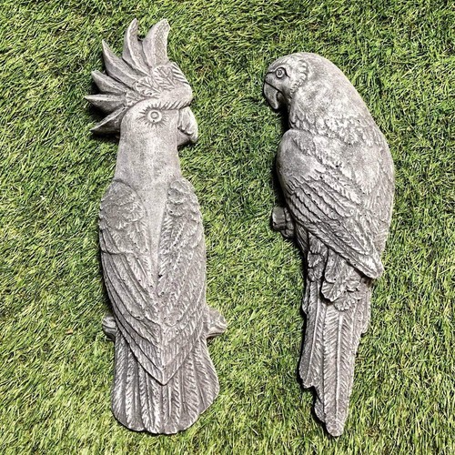 Concrete parrot cockatoo - cockatoo, bird