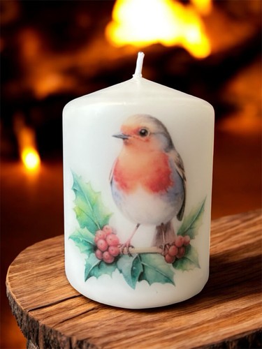Christmas robin - christmas,