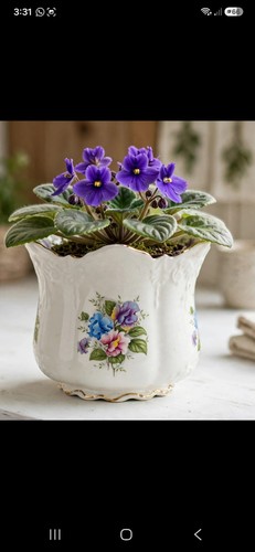 Brosnic english bone china - english,