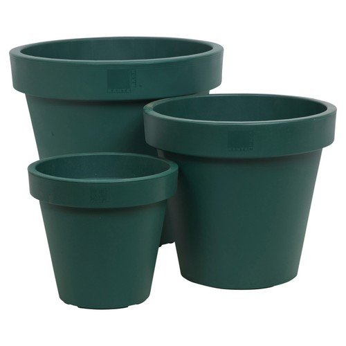 Christmas tree green pot - tree,