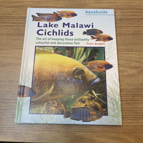 Lake malawi cichlids aqua - cichlids, (aqua