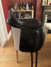 Amerigo Cortina Pinerolo