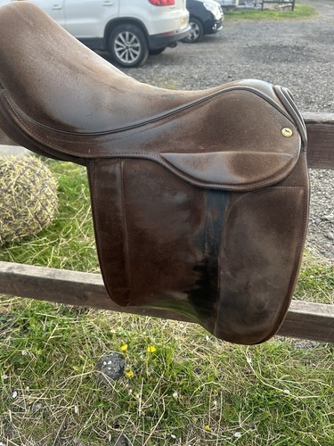 Black country show saddle - show,