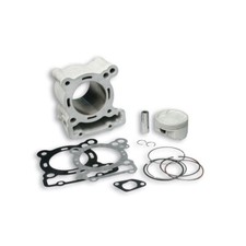 Malossi Cylinder D 67 Aluminum
