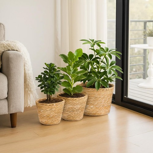 Pcs hand woven indoor - hand,