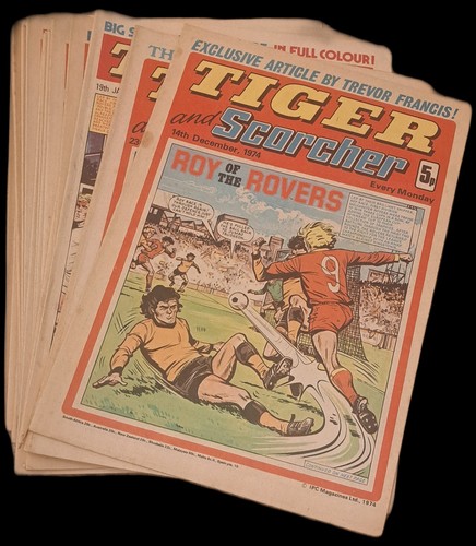 Tiger and scorcher - tiger,