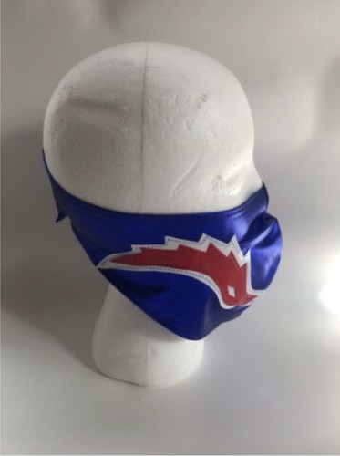 New wrestler rey mysterio jnr - mysterio,