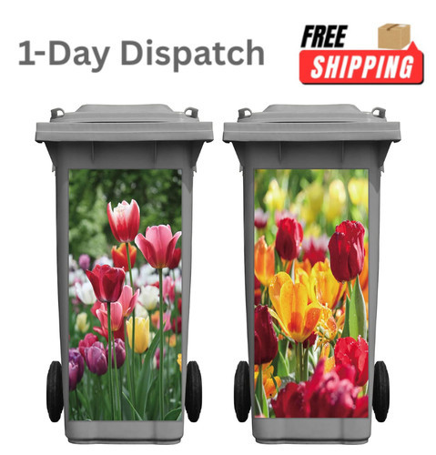 Containlol pieces tulip - containlol, 2