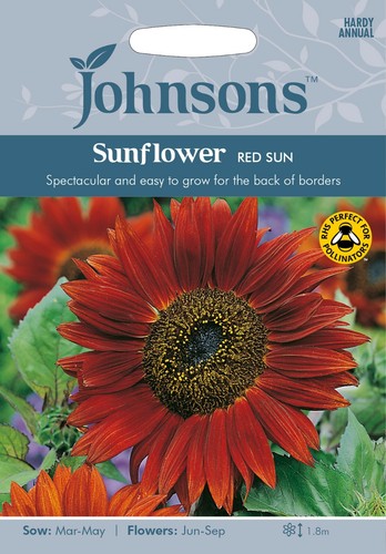 Sunflower red sun - seeds, by