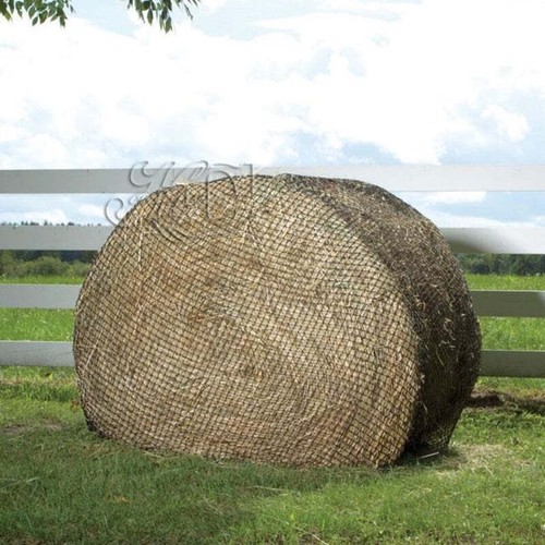 New hay chix - hay, large