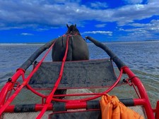 Horse Cart Top Sheets