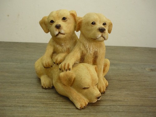 Adorable trio labrador - adorable, of