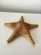Star Fish Large Natural Dried