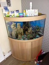 Juwel Trigon 190 Corner Fish Tank with Cabinet Stand and Accessories