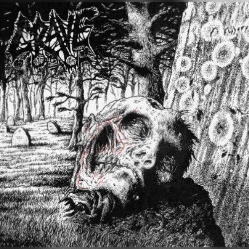 Grave necropsy the - necropsy,