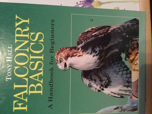 Falconry basics - ,