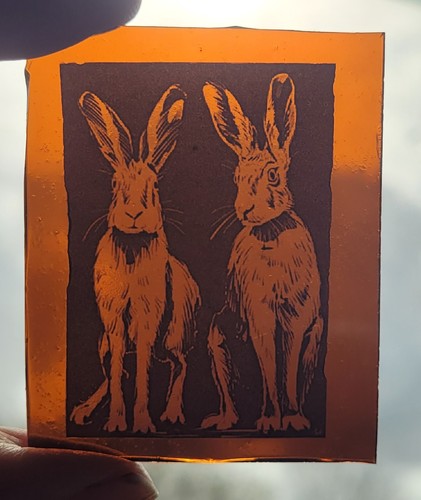 Stained glass hares - stained,