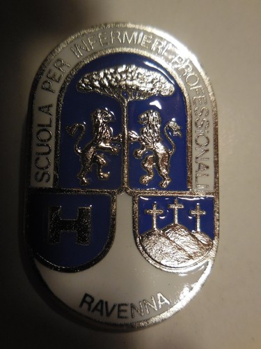 Ravenna professional nursing