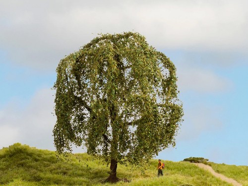 Noch weeping willow master - noch,