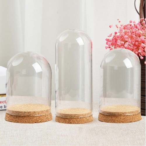 Everlasting flower glass - everlasting,