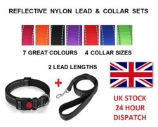 Dog Lead and Collar  Sets