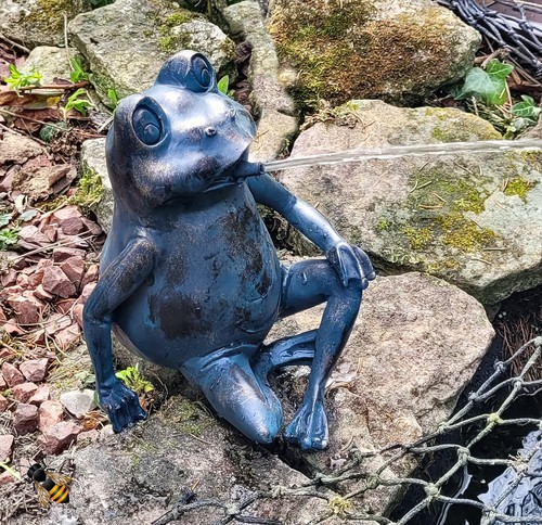 Frog pond spitter garden water - spitter,
