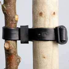 Tree strap Ties 24" 60cm 10 Rubber Adjustable heavy duty  tree Support  uk manuf